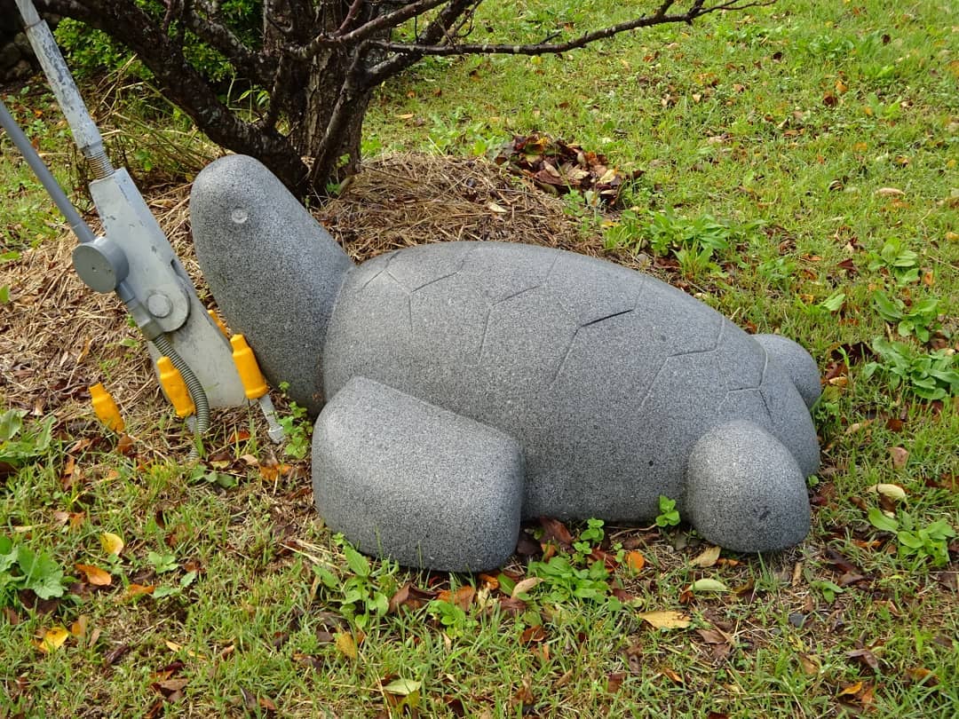 f:id:S_a_k_U:20210709141259j:plain:w300