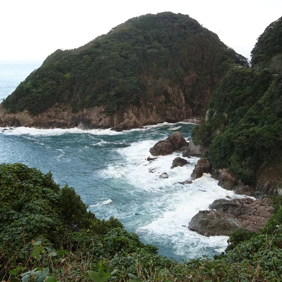 f:id:S_a_k_U:20210709141509j:plain:w300