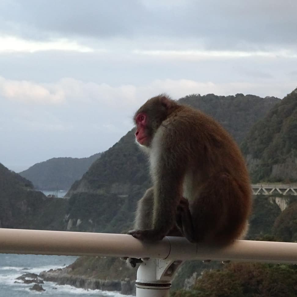 f:id:S_a_k_U:20210709141513j:plain:w300