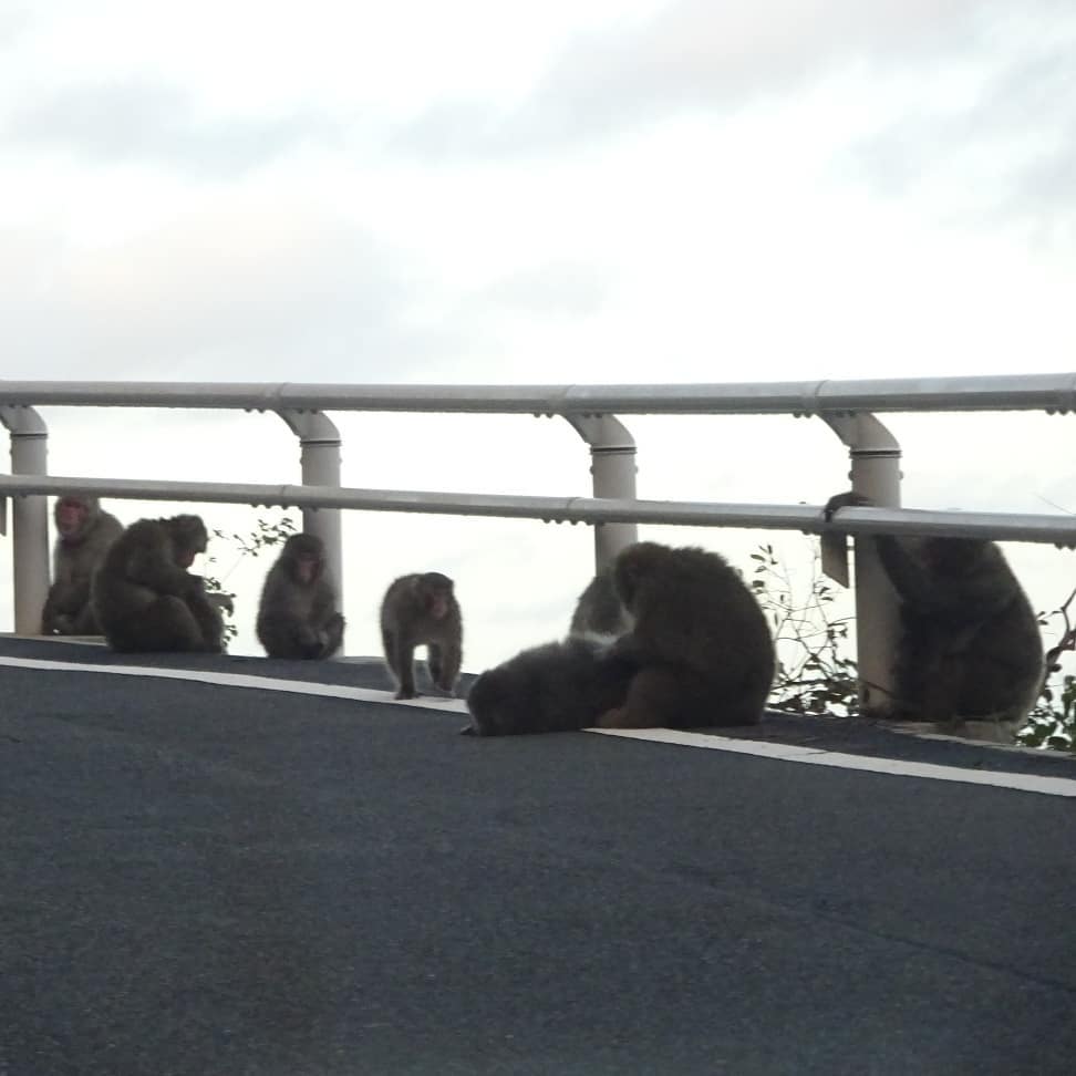 f:id:S_a_k_U:20210709141517j:plain:w300