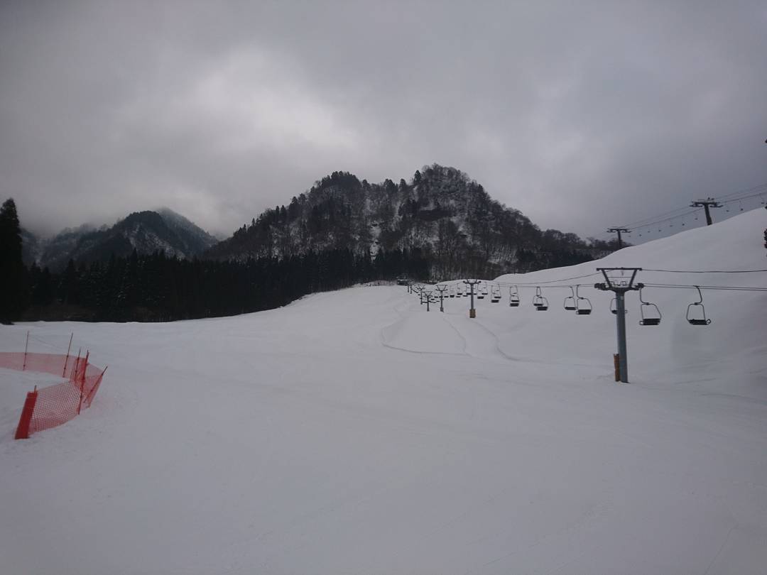 f:id:S_a_k_U:20210724130904j:plain:w300