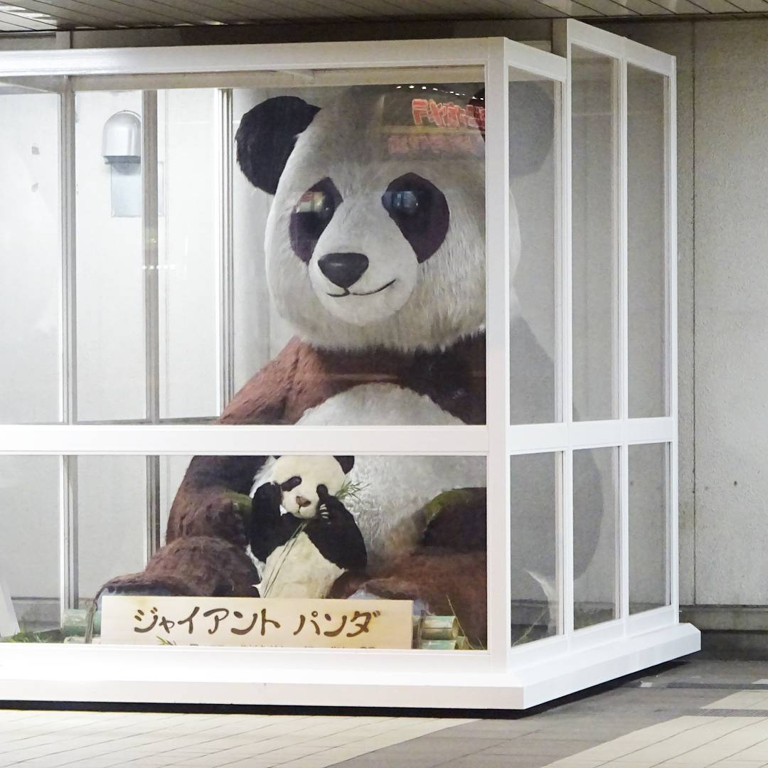 f:id:S_a_k_U:20210729133235j:plain:w300