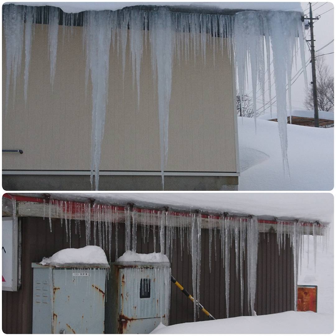 f:id:S_a_k_U:20210729183006j:plain:w300