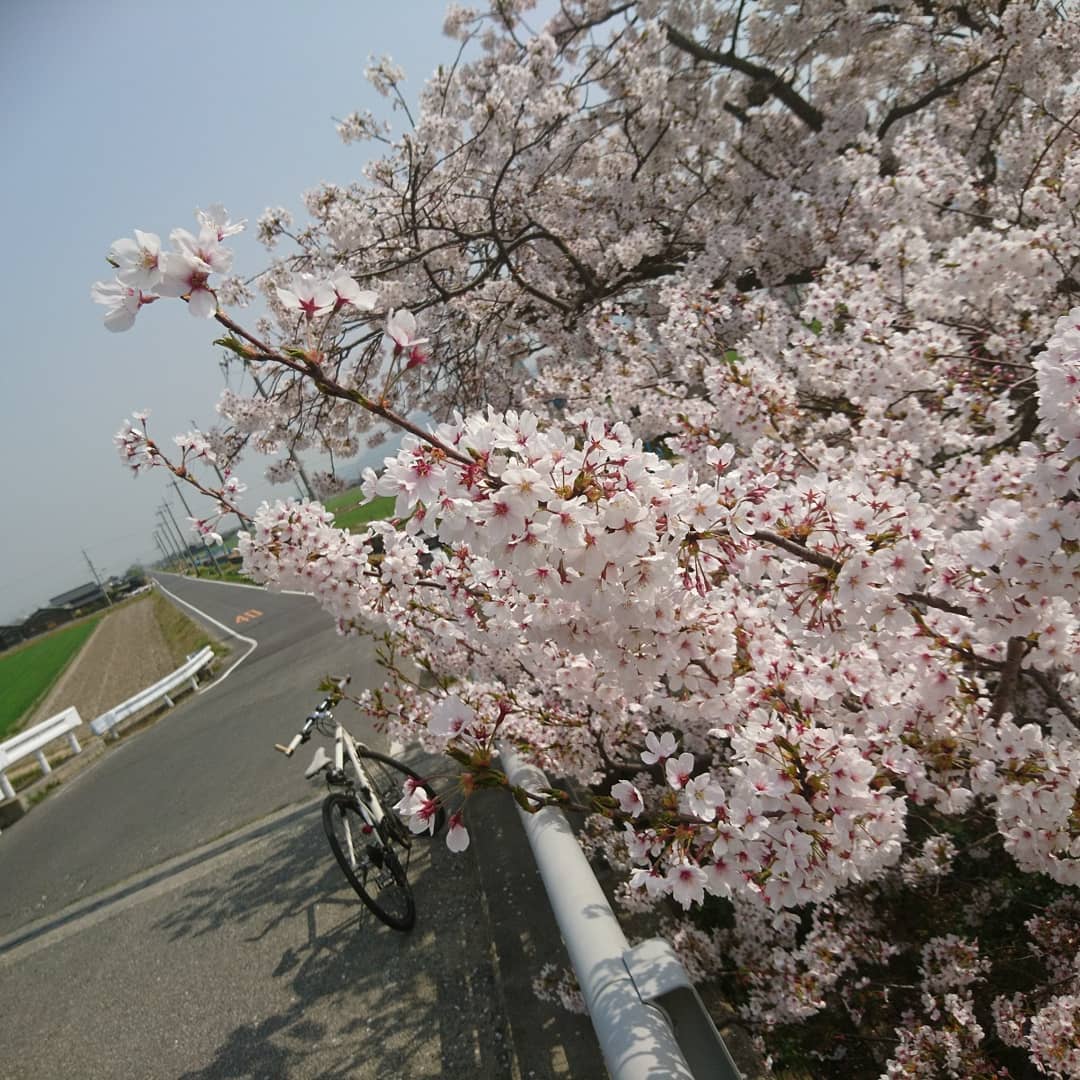 f:id:S_a_k_U:20210731205130j:plain:w300