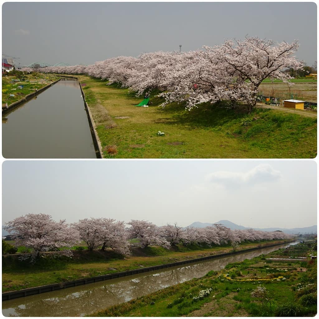 f:id:S_a_k_U:20210731205134j:plain:w300