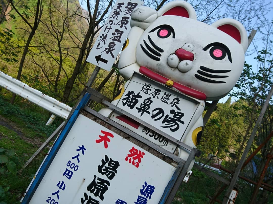 f:id:S_a_k_U:20210802013531j:plain:w300