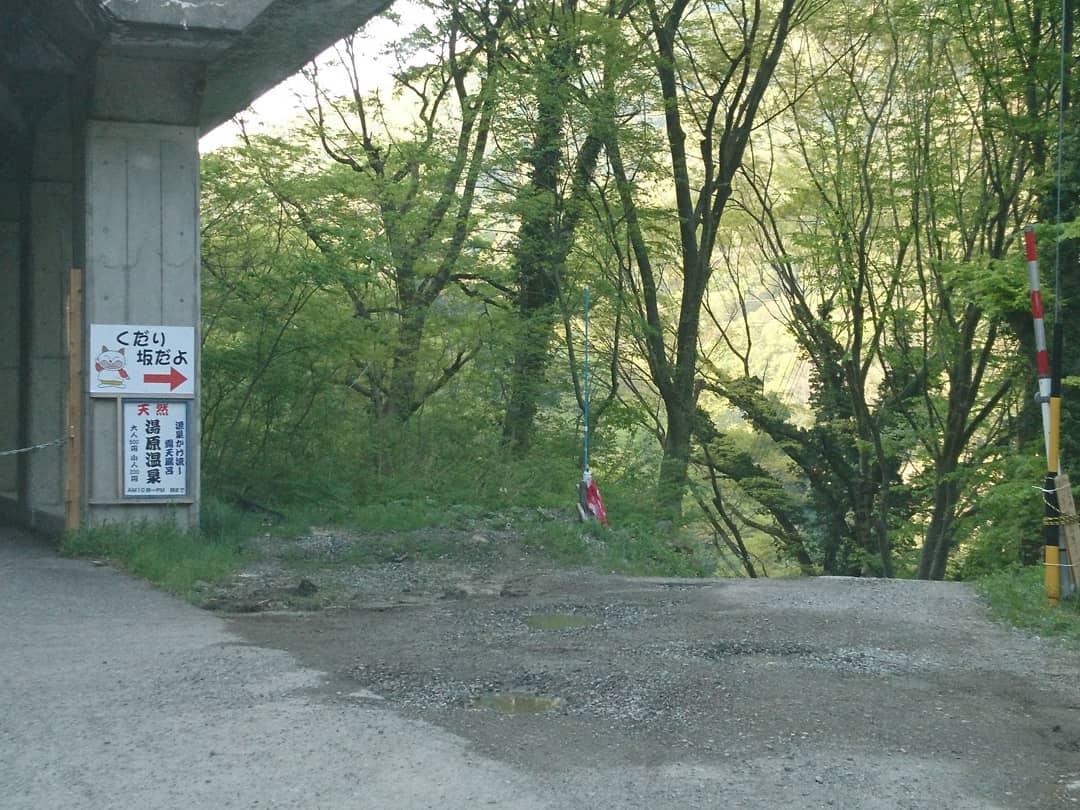 f:id:S_a_k_U:20210802013540j:plain:w300
