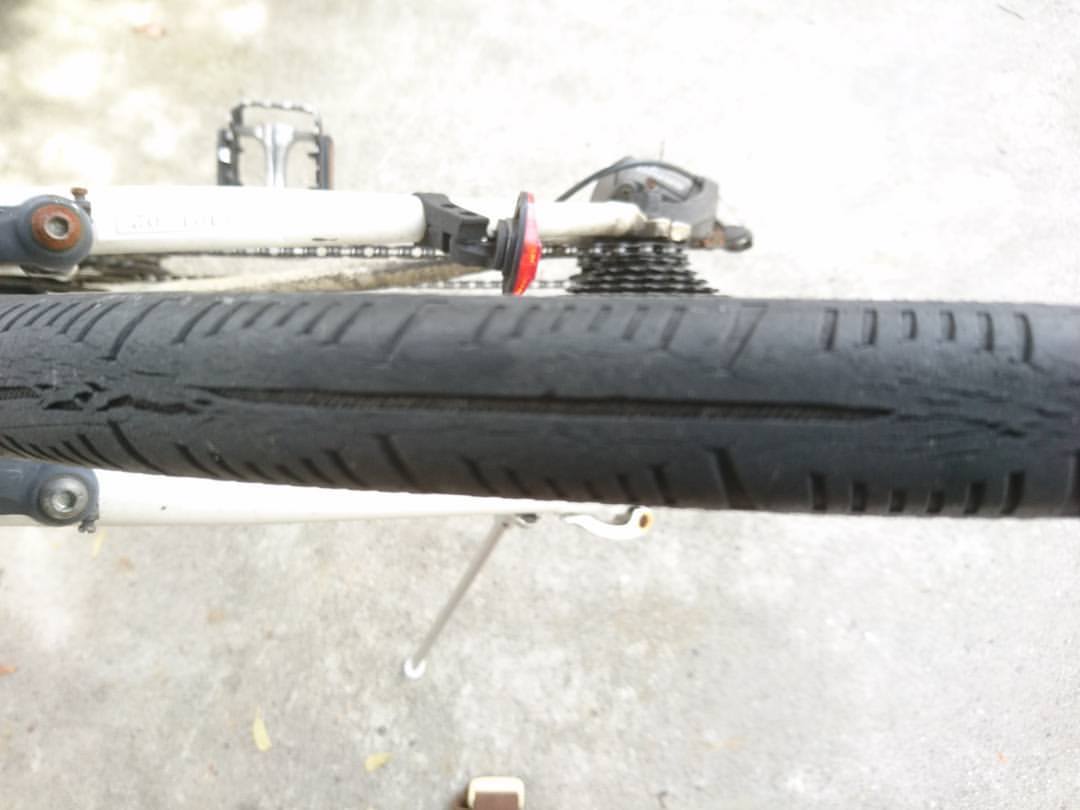 f:id:S_a_k_U:20210813181825j:plain:w300