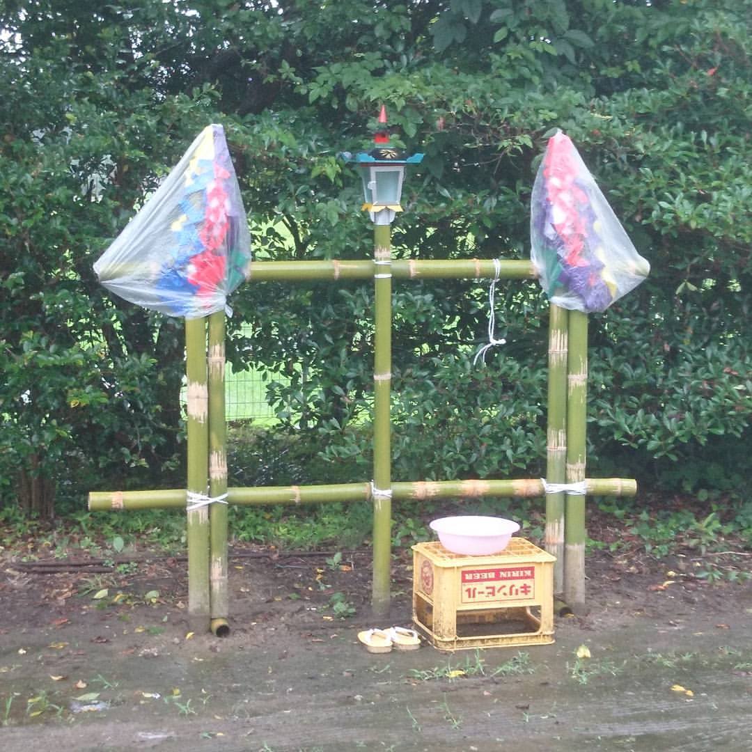 f:id:S_a_k_U:20211112154005j:plain:w300