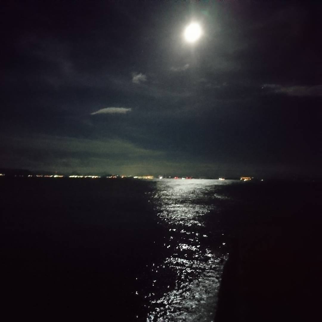 f:id:S_a_k_U:20211112155438j:plain:w300