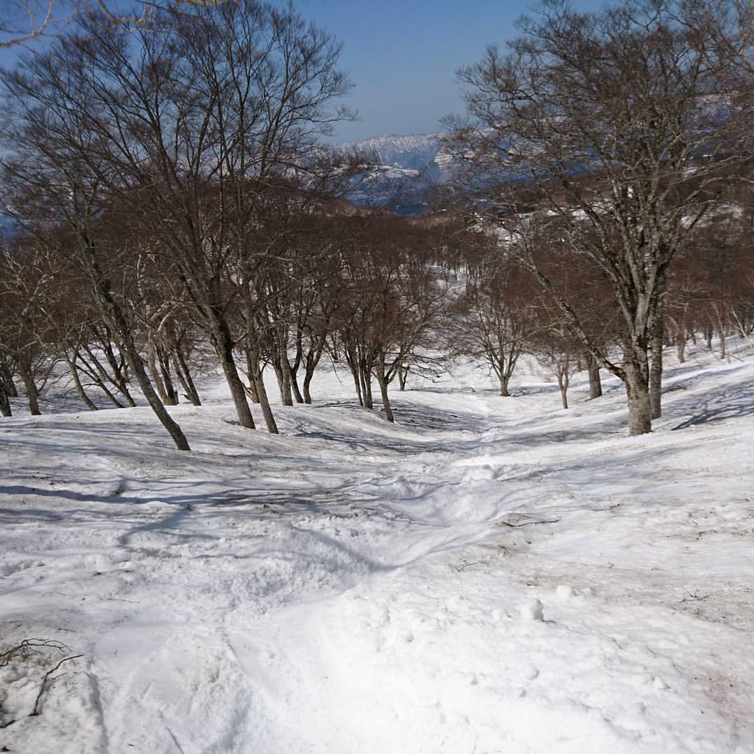 f:id:S_a_k_U:20211114215519j:plain:w300