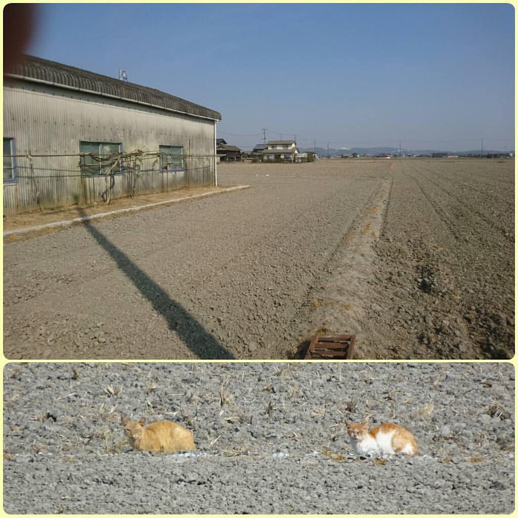 f:id:S_a_k_U:20211125203901j:plain:w300