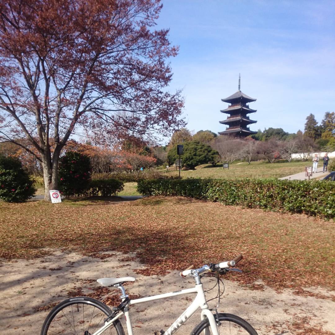 f:id:S_a_k_U:20211217112438j:plain:w300