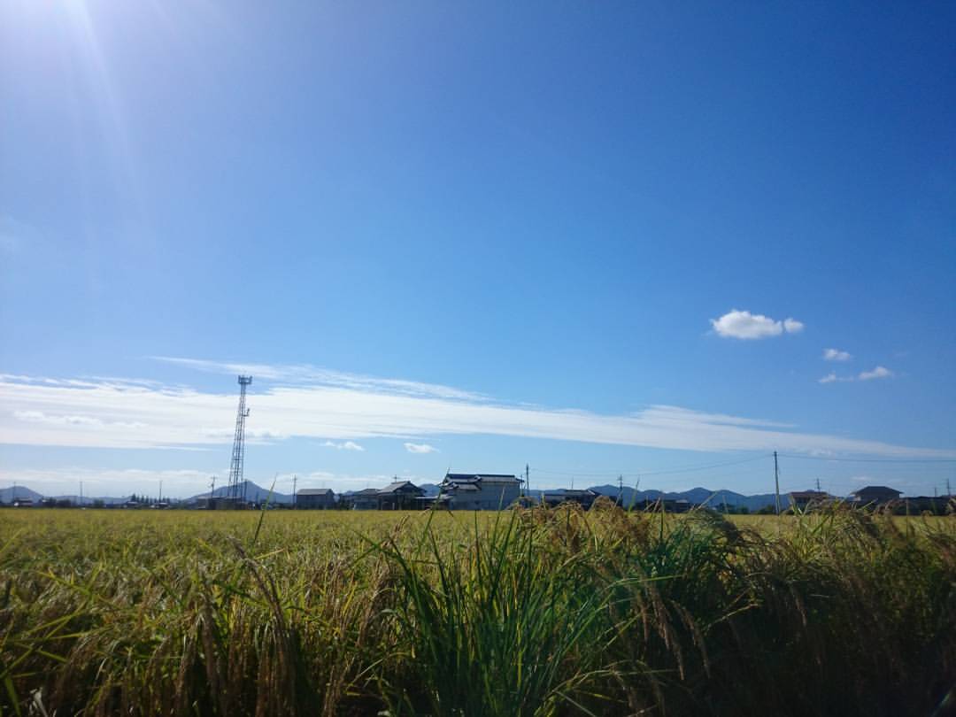 f:id:S_a_k_U:20211219170747j:plain:w300