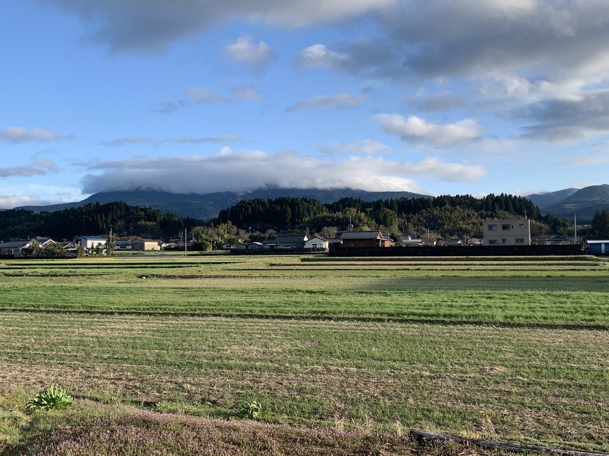 f:id:S_masashi:20220319004136j:plain