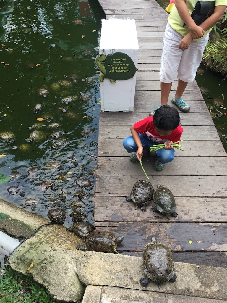 f:id:S_tabearukirecipe:20170810145133j:image f:id:S_tabearukirecipe:20170810145133j:image