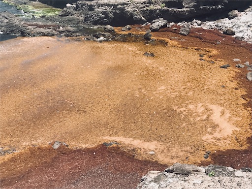 f:id:S_tabearukirecipe:20180811194340j:image f:id:S_tabearukirecipe:20180811194340j:image