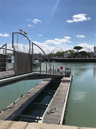 f:id:S_tabearukirecipe:20200922234200j:image