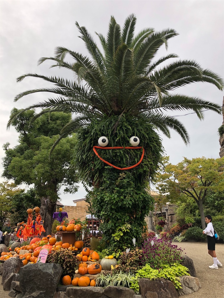 f:id:Sa-Ok:20191023203317j:image