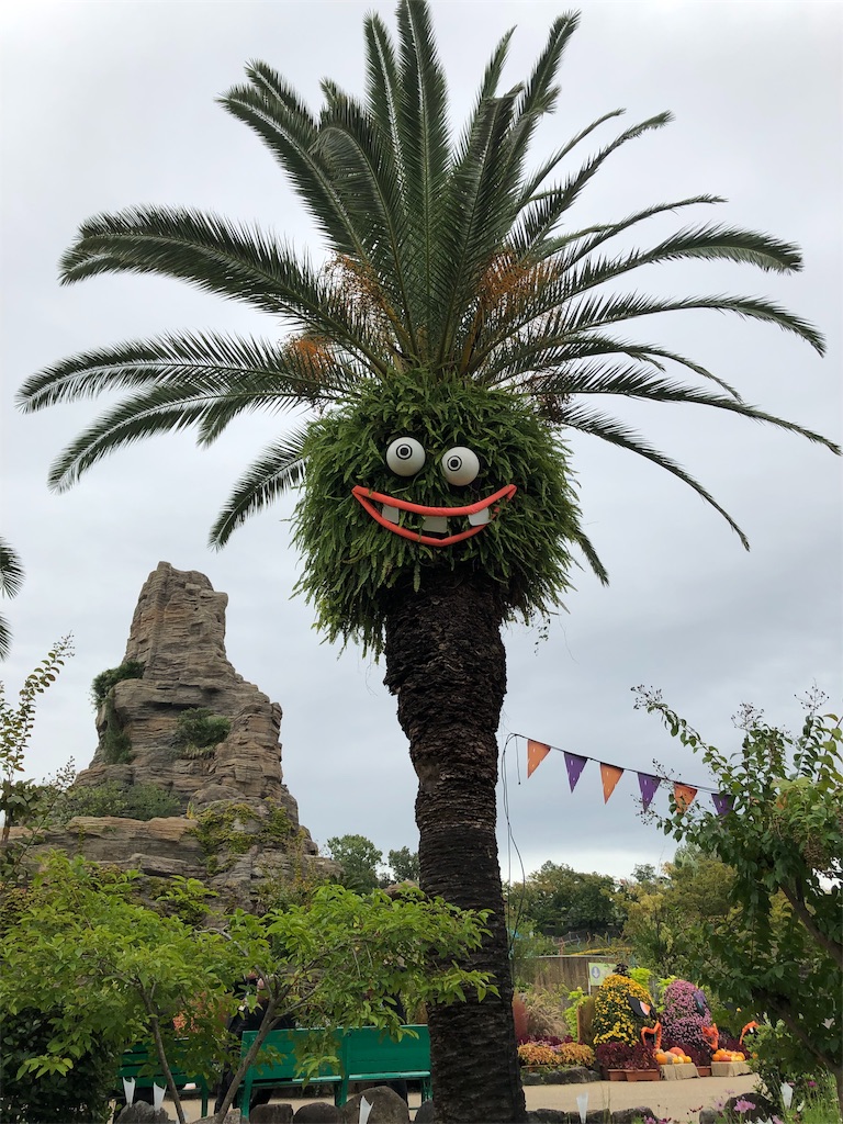 f:id:Sa-Ok:20191023203326j:image