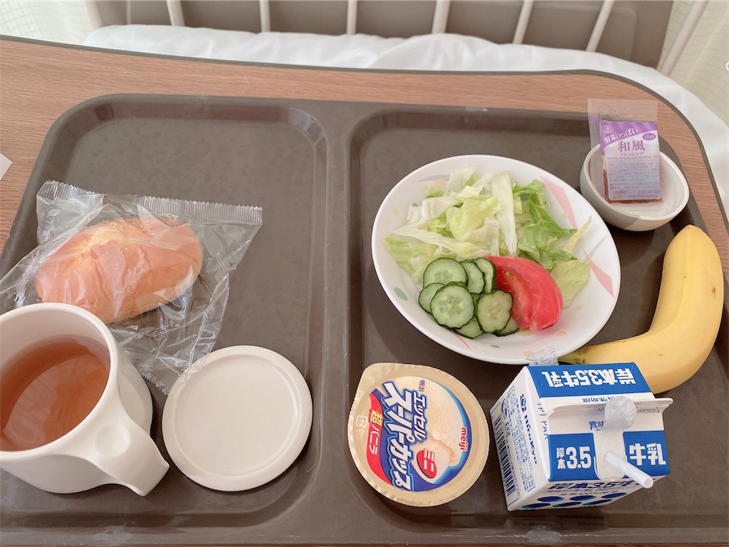 f:id:SaKura1234:20200501085912j:image