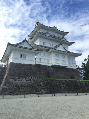 IMG_1002.jpeg