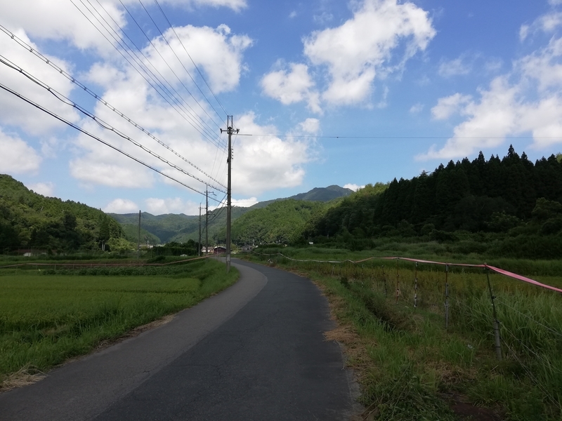 f:id:Sabosan8022:20200816133935j:plain f:id:Sabosan8022:20200816133935j:plain