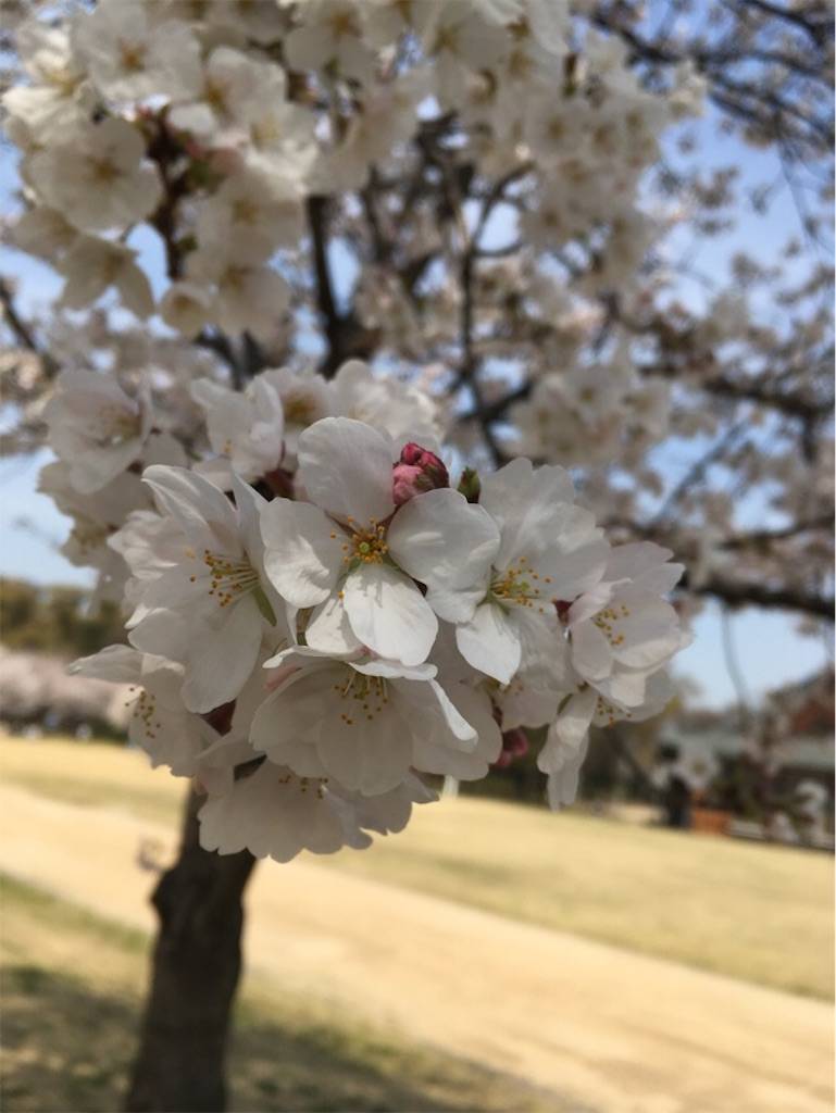 f:id:Sachit:20180404145635j:image f:id:Sachit:20180404145635j:image