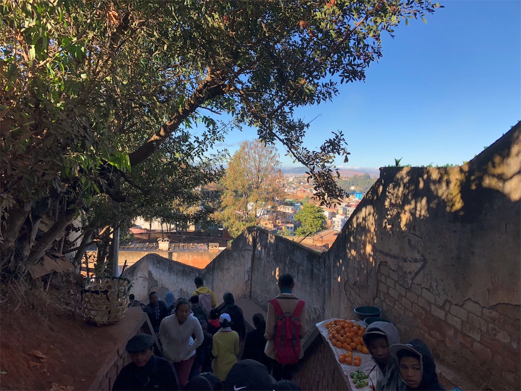 f:id:SaeMadagascar:20180710222047j:image f:id:SaeMadagascar:20180710222047j:image