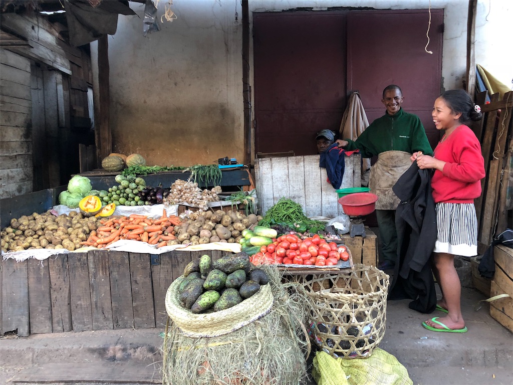 f:id:SaeMadagascar:20180710224756j:image f:id:SaeMadagascar:20180710224756j:image