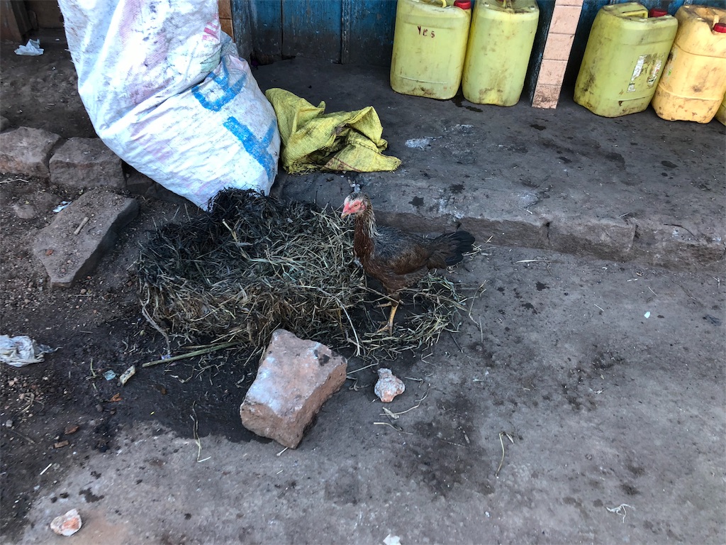 f:id:SaeMadagascar:20180710224945j:image f:id:SaeMadagascar:20180710224945j:image