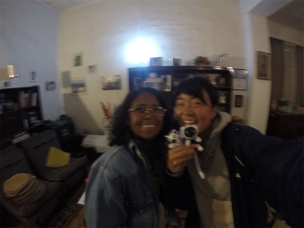 f:id:SaeMadagascar:20180721235646j:image f:id:SaeMadagascar:20180721235646j:image