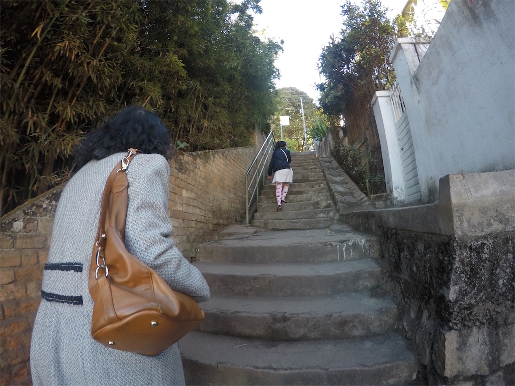 f:id:SaeMadagascar:20180722002113j:image f:id:SaeMadagascar:20180722002113j:image