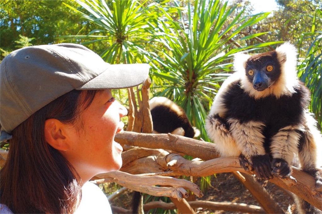 f:id:SaeMadagascar:20180731210150j:image f:id:SaeMadagascar:20180731210150j:image