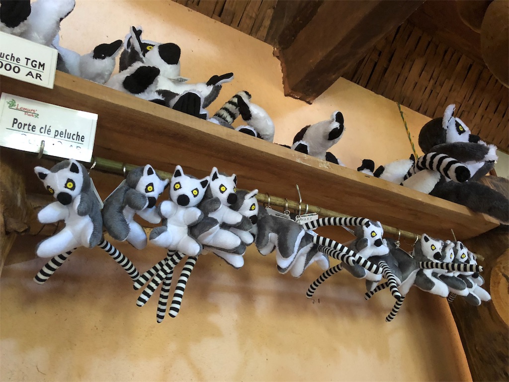 f:id:SaeMadagascar:20180731211124j:image f:id:SaeMadagascar:20180731211124j:image