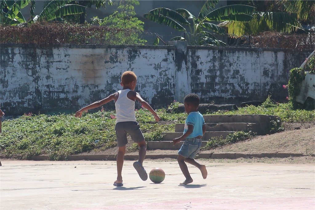 f:id:SaeMadagascar:20180803044616j:image f:id:SaeMadagascar:20180803044616j:image