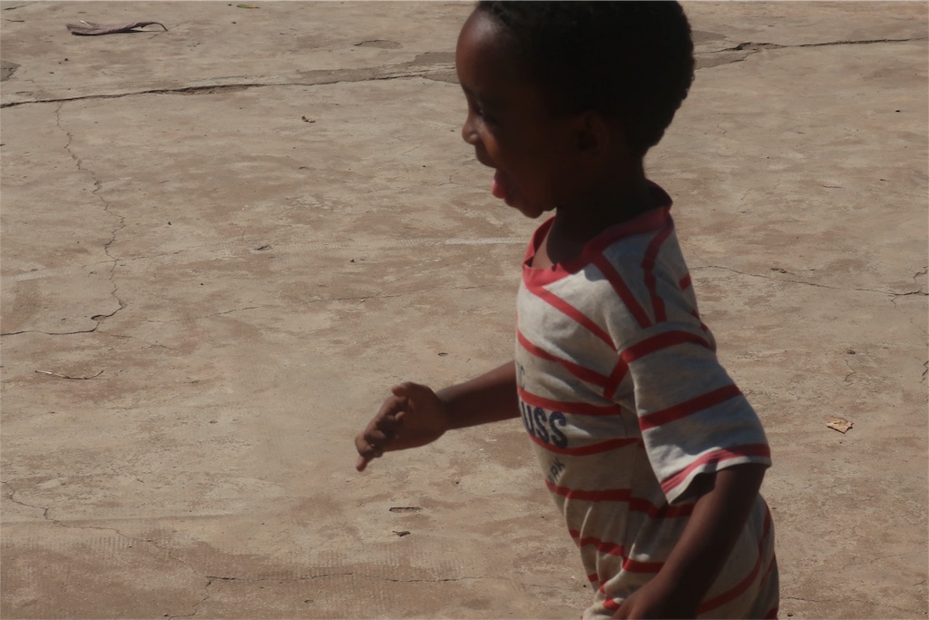 f:id:SaeMadagascar:20180803045253j:image f:id:SaeMadagascar:20180803045253j:image