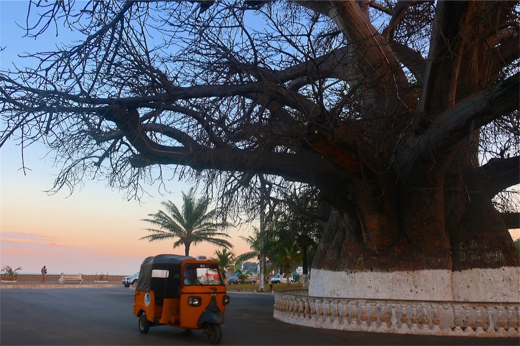 f:id:SaeMadagascar:20180804131937j:image f:id:SaeMadagascar:20180804131937j:image