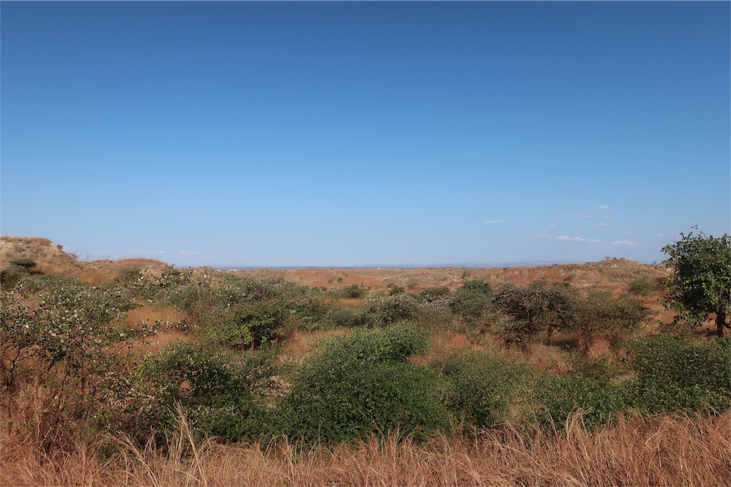 f:id:SaeMadagascar:20180804132451j:image f:id:SaeMadagascar:20180804132451j:image