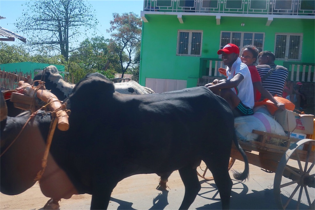 f:id:SaeMadagascar:20180805010721j:image f:id:SaeMadagascar:20180805010721j:image