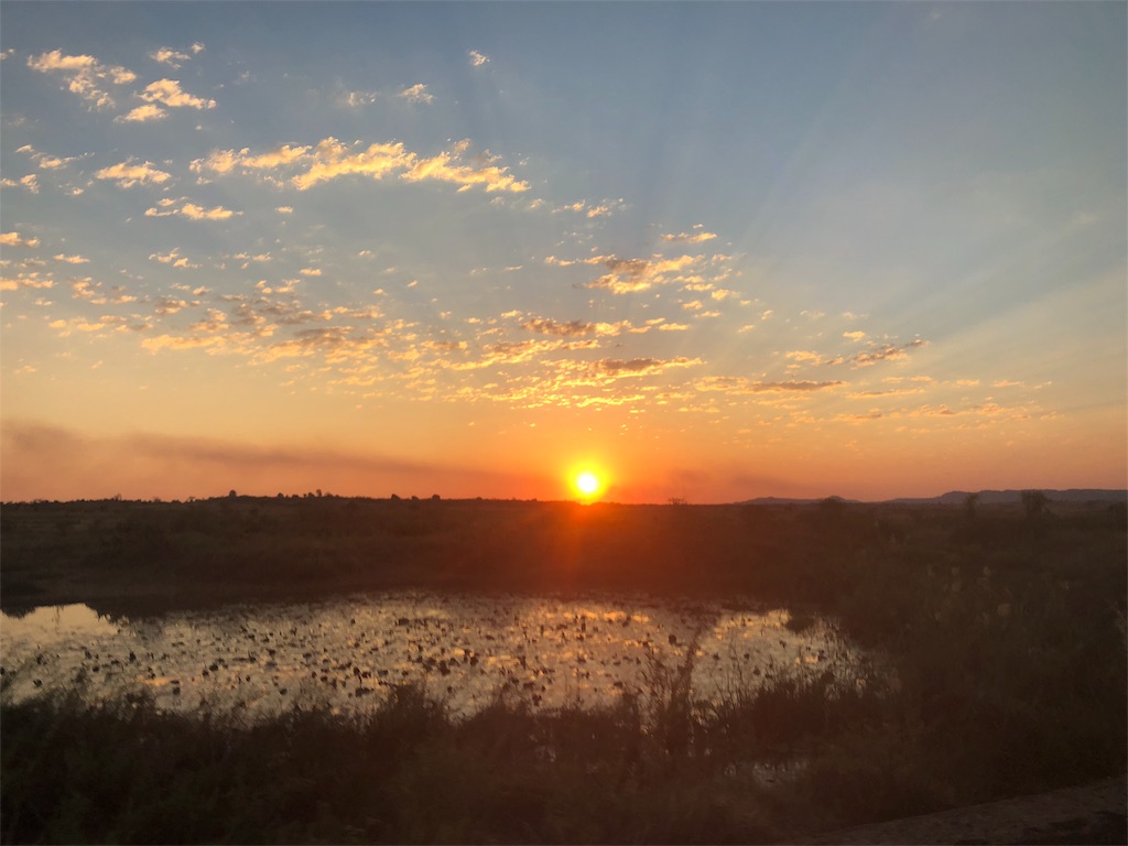 f:id:SaeMadagascar:20180805010933j:image f:id:SaeMadagascar:20180805010933j:image