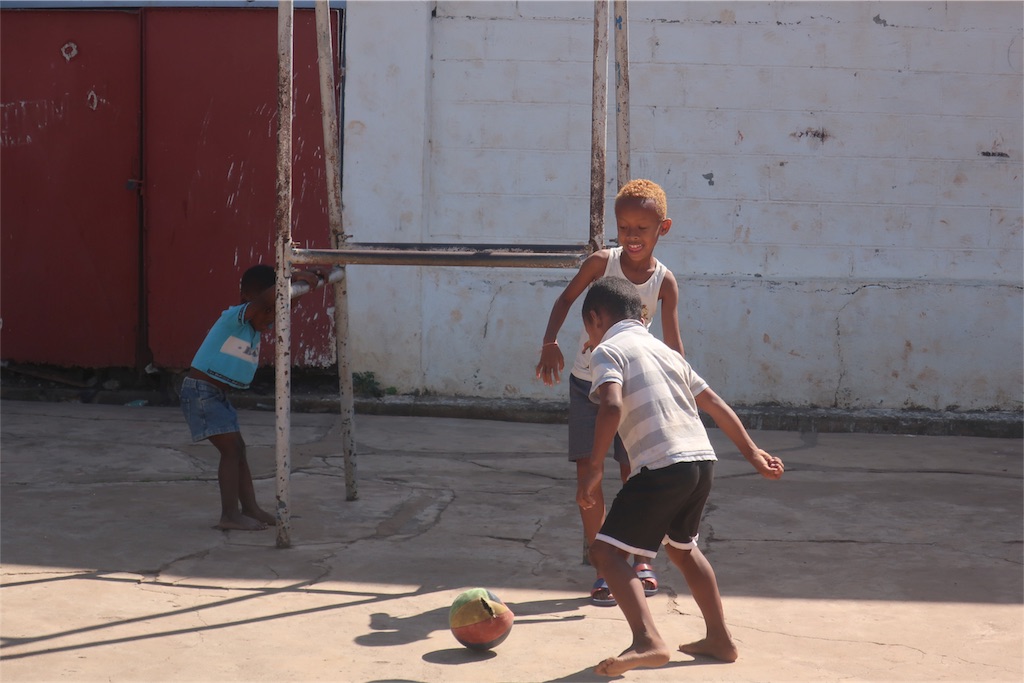 f:id:SaeMadagascar:20180805031704j:image f:id:SaeMadagascar:20180805031704j:image