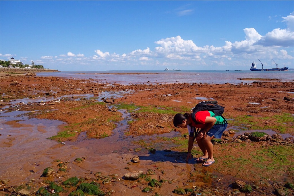 f:id:SaeMadagascar:20180805032458j:image f:id:SaeMadagascar:20180805032458j:image