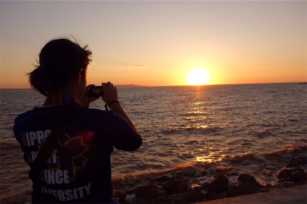 f:id:SaeMadagascar:20180805033024j:image f:id:SaeMadagascar:20180805033024j:image
