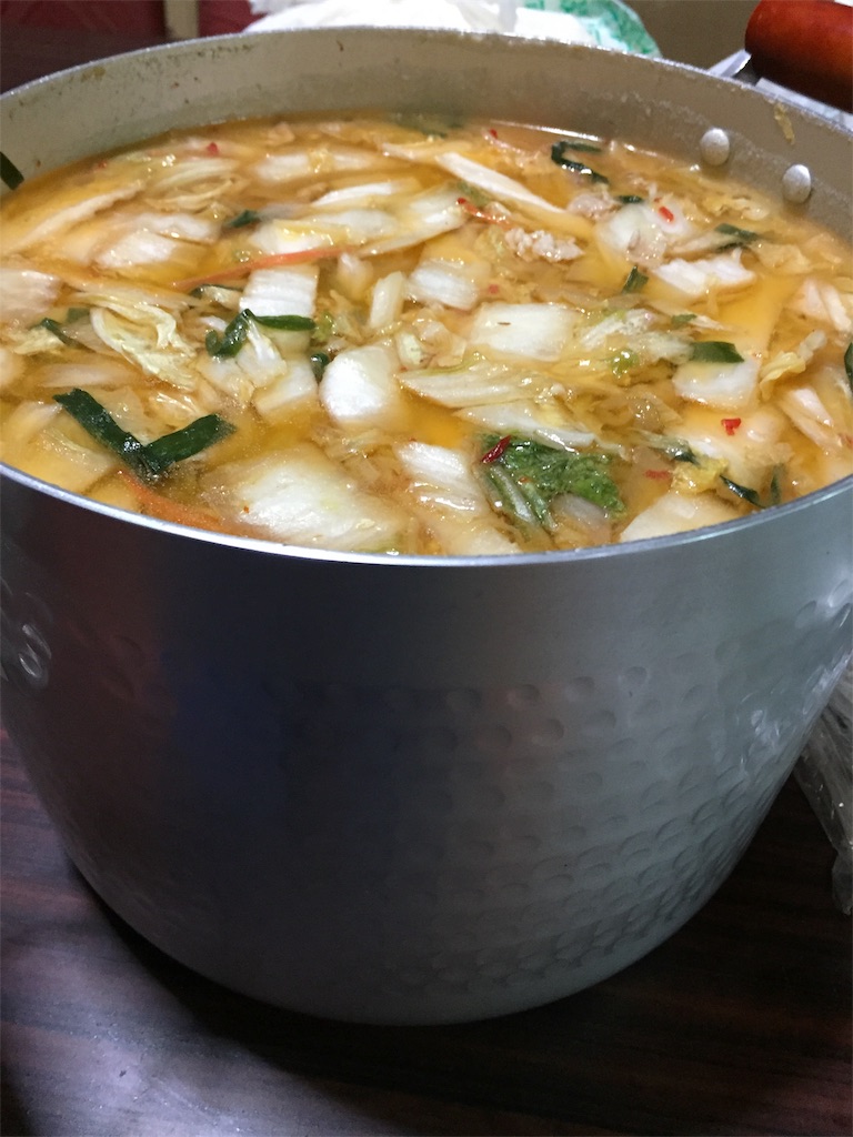 f:id:SagamiSaganaka:20190104225836j:image