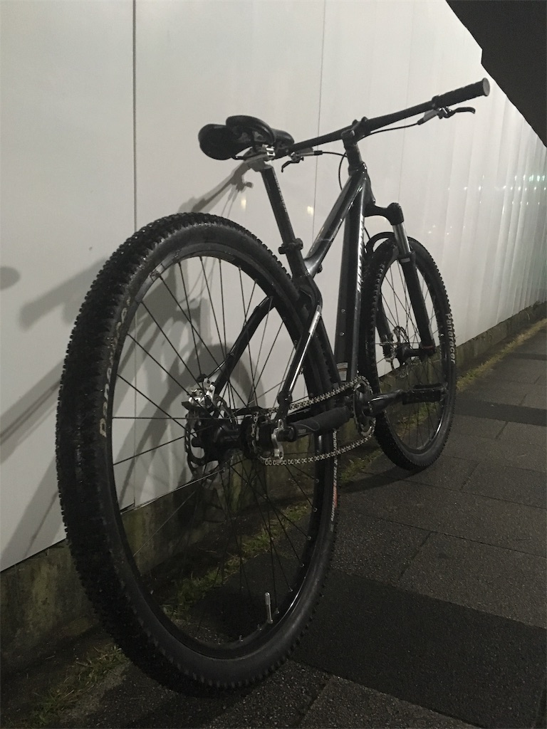 f:id:SagamiSaganaka:20190331222129j:image