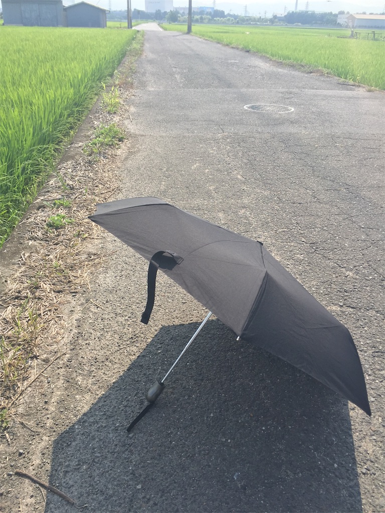 f:id:SagamiSaganaka:20190801202346j:image