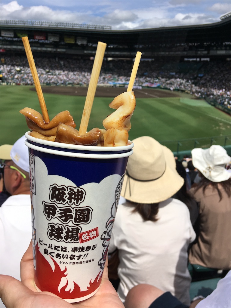 f:id:SagamiSaganaka:20190813133922j:image