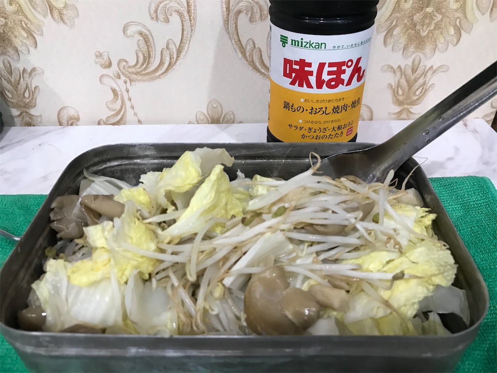 f:id:SagamiSaganaka:20200217231422j:image