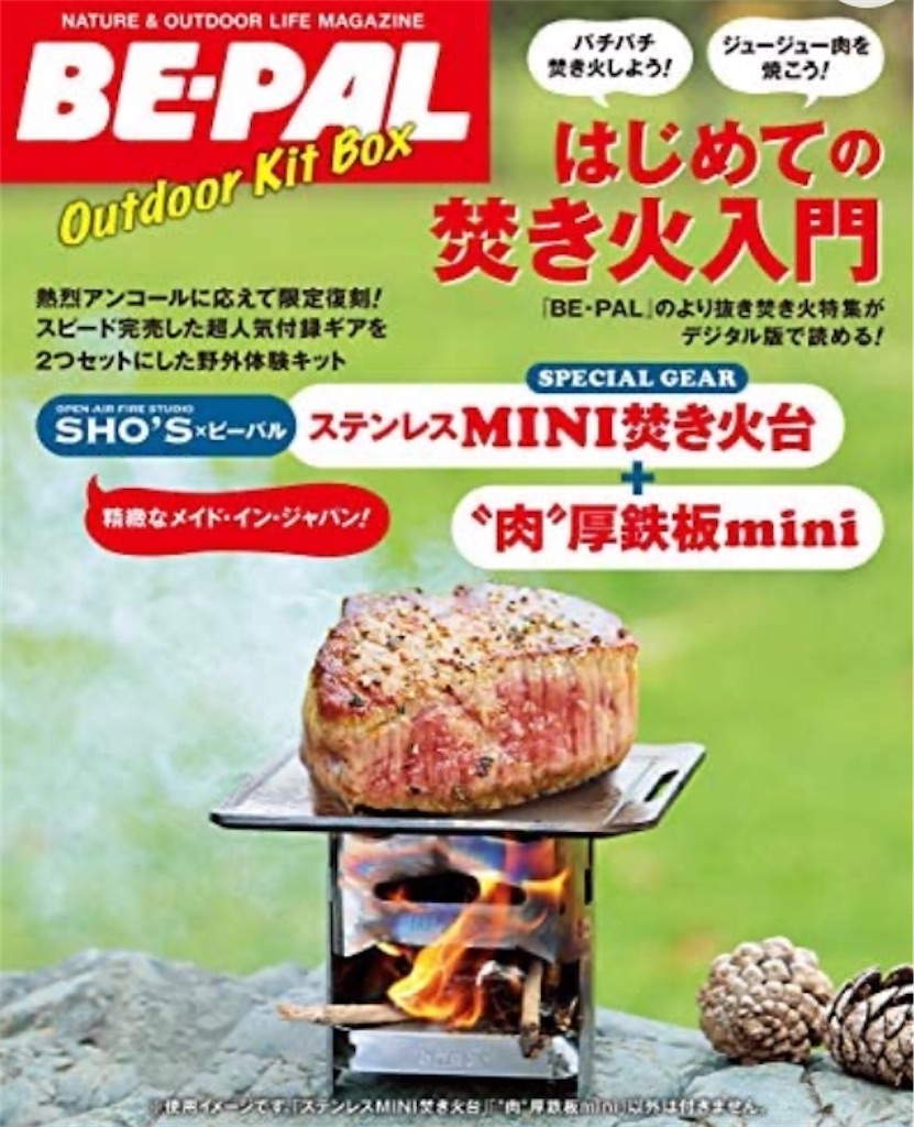 f:id:SagamiSaganaka:20210620110629j:image